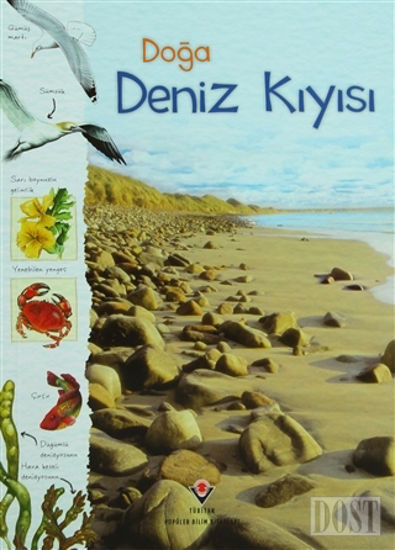 Doğa: Deniz Kıyısı